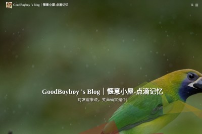 GoodBoyboy's Blog